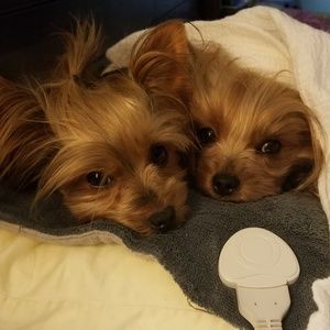 Meet your Posher, Kimberly